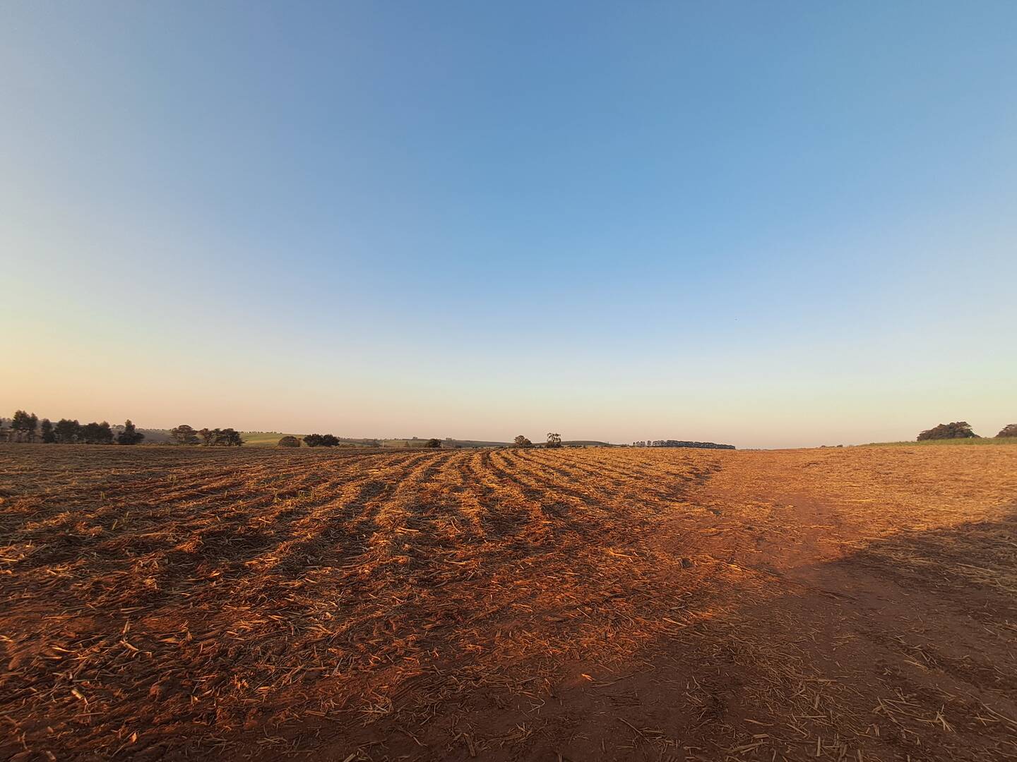 #47 - Sítio para Venda em São Pedro - SP