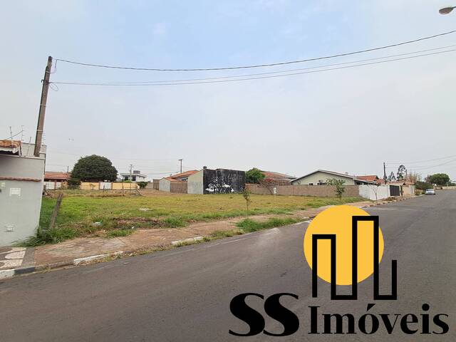 #17 - Área para Venda em São Pedro - SP
