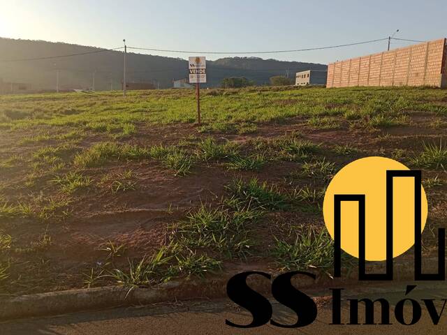 #61 - Área para Venda em São Pedro - SP