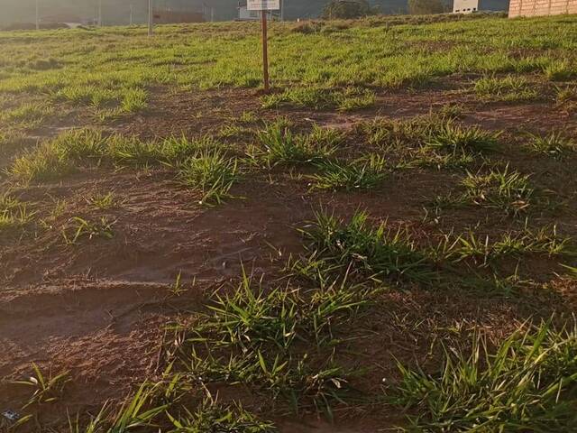 #61 - Área para Venda em São Pedro - SP