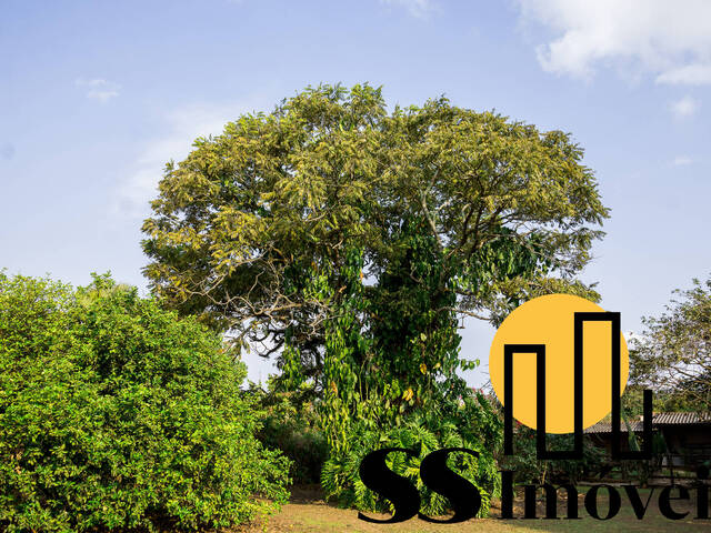 #65 - Chácara para Venda em São Pedro - SP