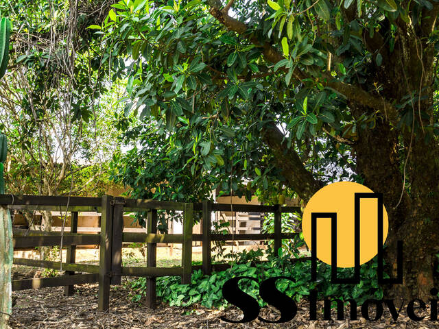 #65 - Chácara para Venda em São Pedro - SP